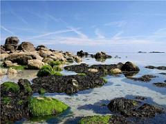 156 ILE DE HOEDIC_000067
